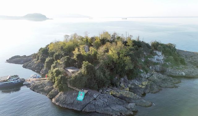 Giresun Adası'nda, Alperen Şengün'e onur posteri