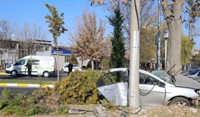 Ağaca çarpan otomobil ikiye bölündü: 2 ölü 1 yaralı