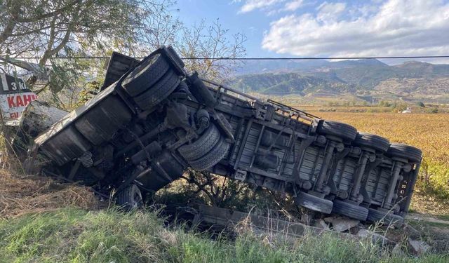 Alaşehir’de süt tankeri üzüm bağına uçtu