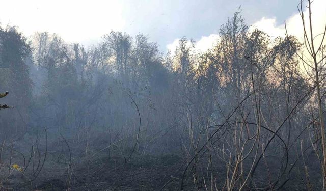 Artvin Hopa’da ziraat alanında çıkan yangın ormana sıçradı