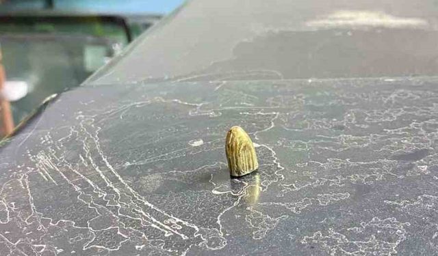 Artvin’de maganda kurşunu park halindeki araca ve iş yerine isabet etti