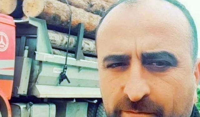 Artvin’de üzerine ağaç devrilen şahıs hayatını kaybetti