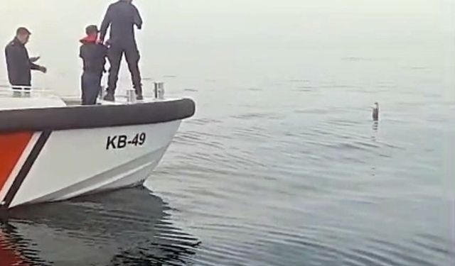 Artvin’in Hopa ilçesi açıklarında denizde roket motoru bulunduğu iddiası