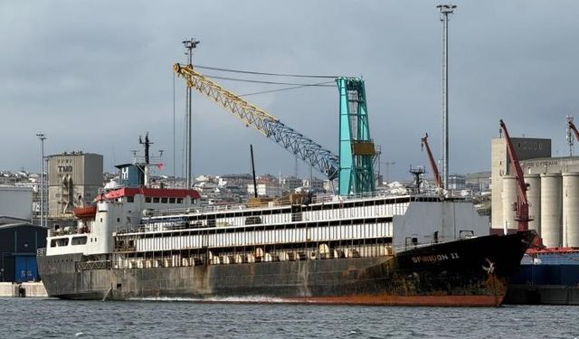 Bandırma’daki hayvan ithalatı tartışması yargıya taşındı