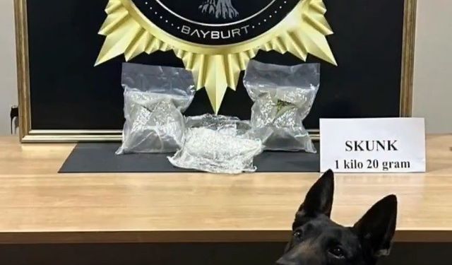 Bayburt’ta bavula yerleştirilmiş 1 kilo 20 gram skunk ele geçirildi