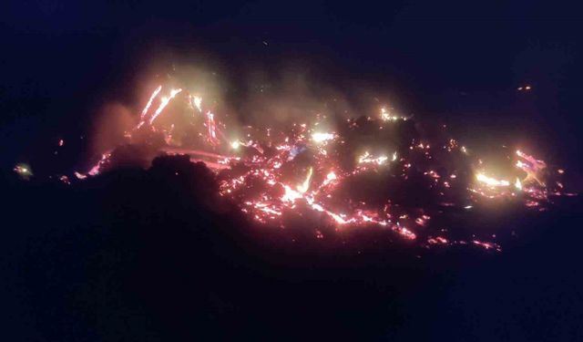 Bilecik’te çürümüş ağaç ve kökler yakılırken alevler kontrolden çıktı