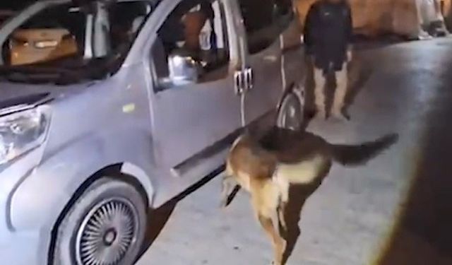 Bitlis’teki uyuşturucu operasyonunda 1 kişi tutuklandı