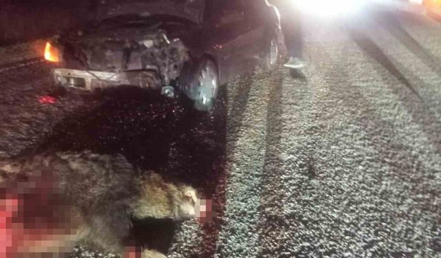 Bolu’da domuza çarpan otomobil hurdaya döndü: 1 yaralı