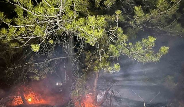 Bolu’da ormanlık alanda yangın çıktı