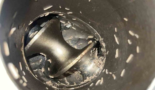 Hijyenik olmayan şarküterinin makinelerinde mide bulandıran görüntüler