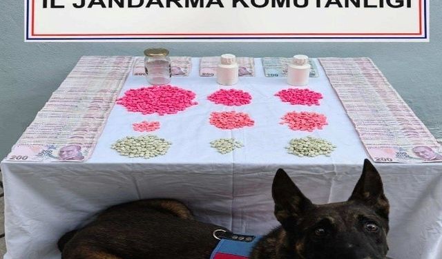 Denizli’de tacirlerine operasyon düzenlendi