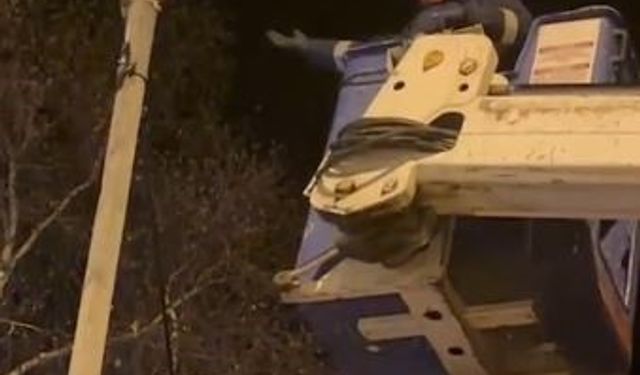 Direkte mahsur kalan kediyi Aras EDAŞ ekipleri kurtardı