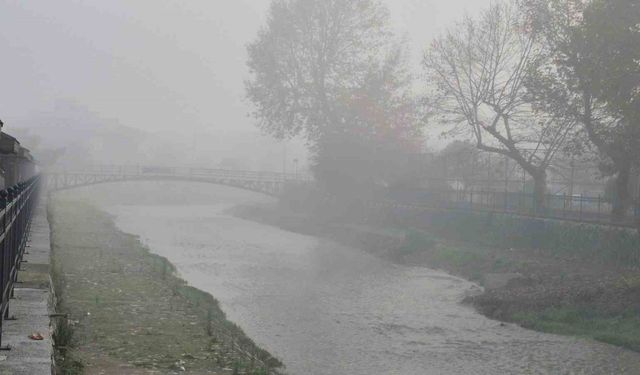 Düzce’de sis etkili oluyor