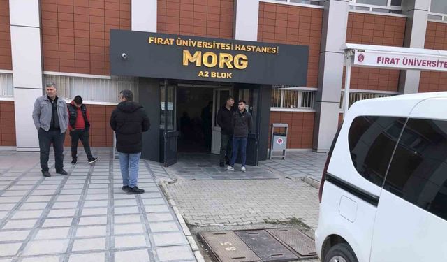 Elazığ’da 3 çocuk annesi kadın, kocası tarafından öldürüldü