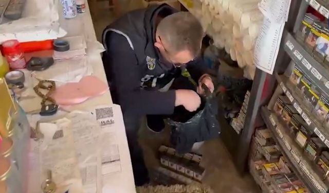 Iğdır’da kaçak sigara ve uyuşturucu ele geçirildi