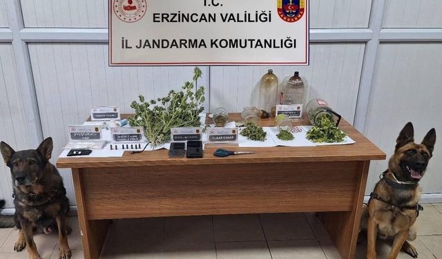 Jandarma Kasım ayı bilançosu: 124 olayın yüzde 93’ü aydınlatıldı