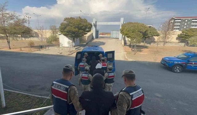 Jandarma’dan kaçak kazı operasyonu