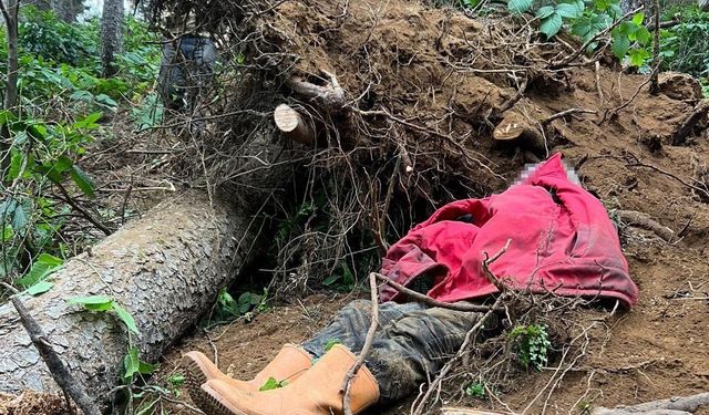 Kestiği ağacın altında kalan bir kişi hayatını kaybetti