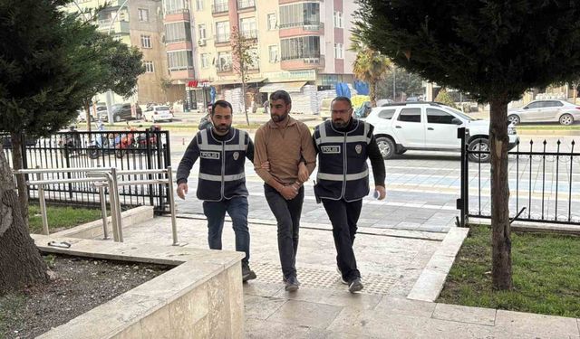 Kullandığı tırın dorsesinde 11 kaçak göçmen bulunan sürücü tutuklandı