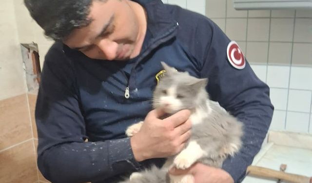 Malatya’da havalandırma boşluğuna düşen kedi kurtarıldı