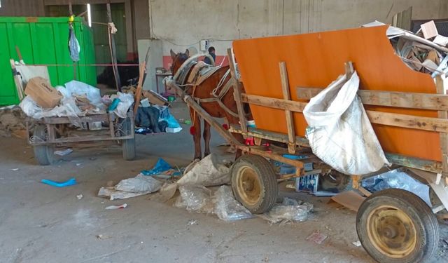 Manisa’da at arabası operasyonu: İki at arabası trafikten men edildi