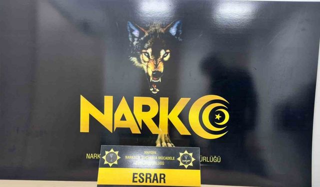 Mardin’de uyuşturucu operasyonunda 2 şüpheli yakalandı