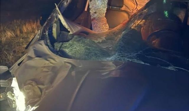 Muş’ta hafif ticari araç ata çarptı: 2 yaralı