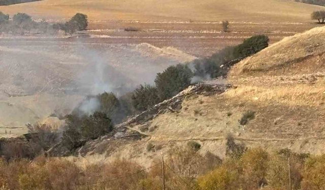 Ormanlık alanda korkutan yangın