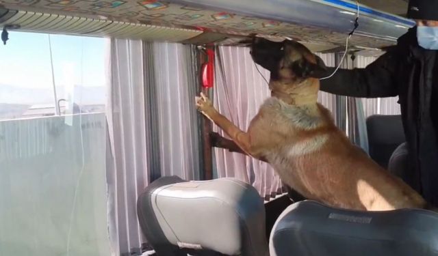 Otobüs bagajında skunk düzeneği: 8 kilo zehir ele geçirildi