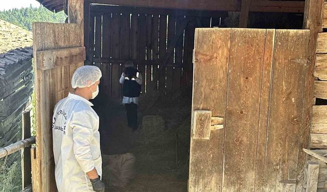 Samanlıkta işlenen cinayetle ilgili yargılama devam etti