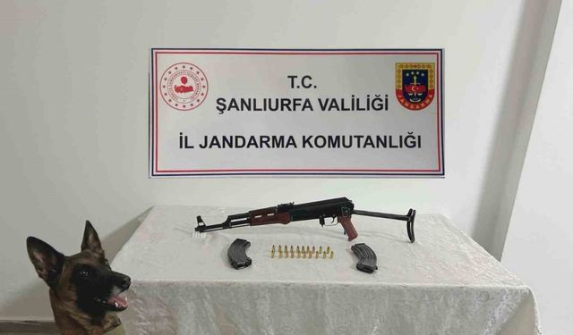 Şanlıurfa’da ruhsatsız silah operasyonu