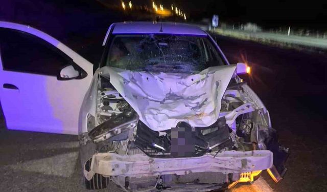 Siirt’te otomobilin çarptığı at telef oldu