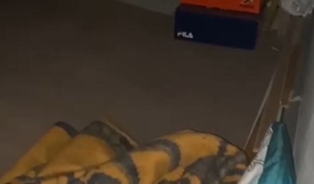 Van’da 12,5 yıl kesinleşmiş hapis cezası bulunan müdür gizli bölmede yakalandı