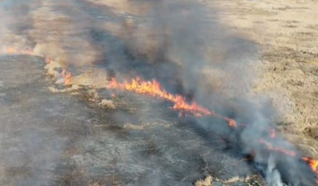 Van’da sazlık yangını