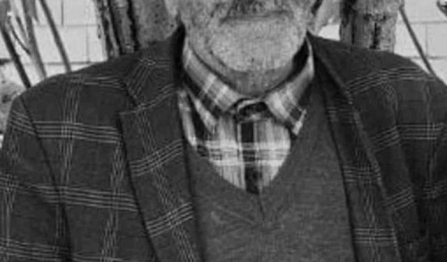 Van’da trafik kazası, 1 kişi hayatını kaybetti