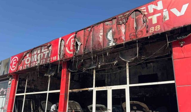 Yakalanan kundakçı suçunu itiraf etti