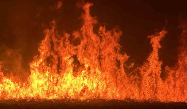 Yüksekova’da kuş cenneti Nehil Sazlığı’ndaki yangın yerleşim yerlerini tehdit ediyor