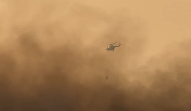 Yüksekova’nın kuş cennetindeki yangına havadan müdahale
