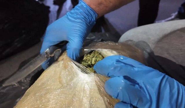 Yurtdışından gelen tırda 223 kilo uyuşturucu ele geçirildi: 1 tutuklama