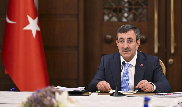 Cevdet Yılmaz'dan enflasyon açıklaması