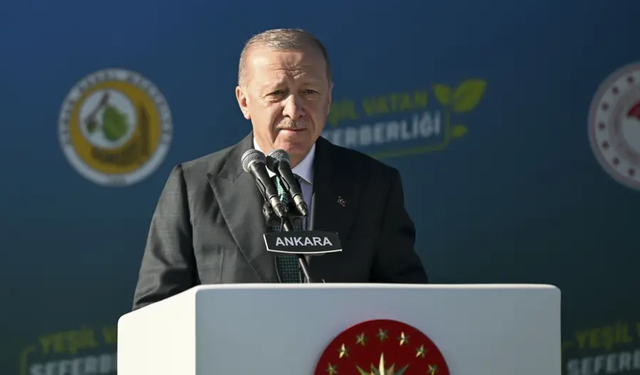 Cumhurbaşkanı Erdoğan'dan düşen askeri kargo uçağıyla ilgili açıklama
