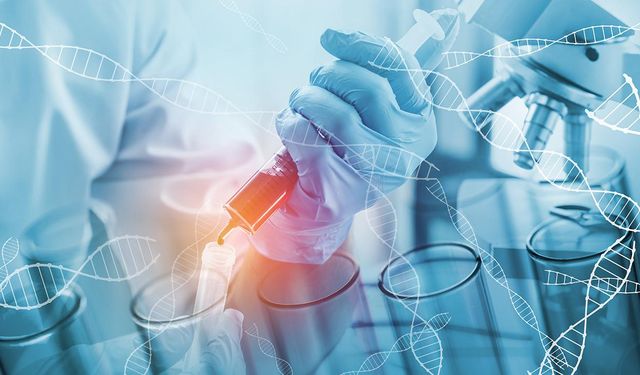 Kanser, kalp ve beyin hastalıklarını inceleyen 383 araştırma fonu kesintiye uğradı