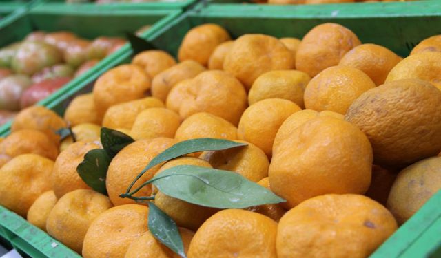 Zirai ilaç kalıntısı bulunan 6 bin 100 kilogram mandalina imha edildi