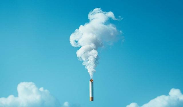 DSÖ bildirdi: Her yıl 7 milyon kişinin ölümüne neden oluyor