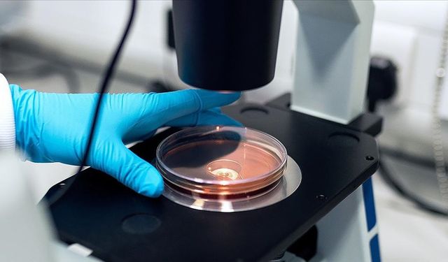 Yeni bakteri alarmı: 6 kişi hayatını kaybetti