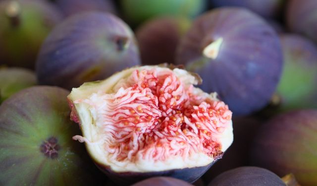 Okullarda “Coğrafi İşaret Günü” kutlanacak