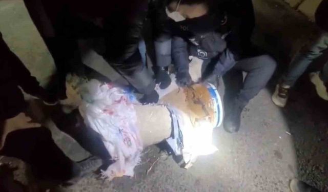 Ağrı'da 29 kilo uyuşturucu ele geçirildi