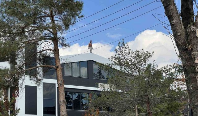 Alacağı için çatıya çıktı, yarı çıplak 3 saat ikna edilmeye çalışıldı