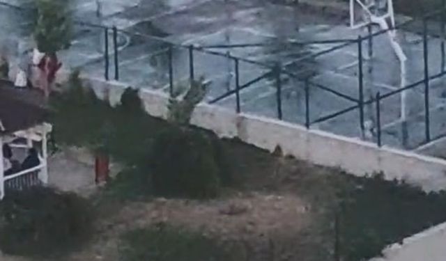 Ankara’da iki kardeşe saldıran pitbullun sahibinin, köpeğini tasmasız ve ağızlıksız gezdirdiği görüntüler ortaya çıktı