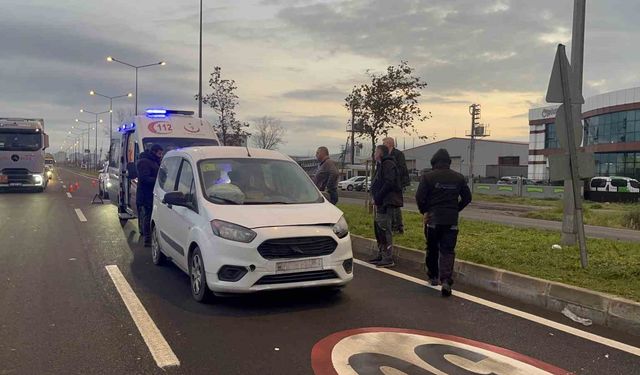 Başıboş köpeğe çarpan aracın sürücüsü yaraladı